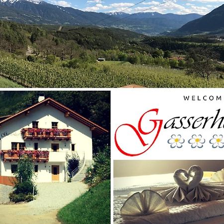 Gasserhof Aicha Natz-Schabs Exterior foto